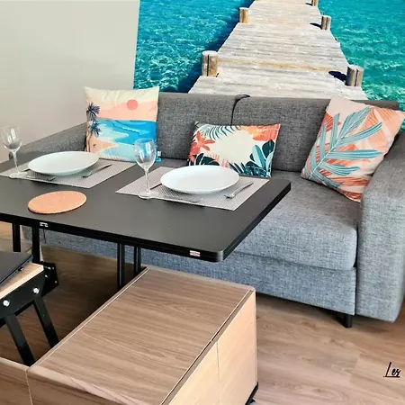 公寓 Les De Fiori - Et T2 - Cala Rossa - Proche Porto Vecchio 里奇