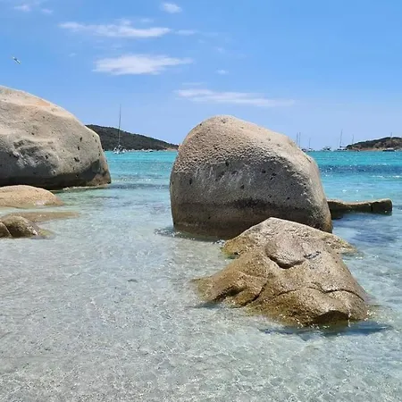 Les De Fiori - Et T2 - Cala Rossa - Proche Porto Vecchio 公寓 里奇