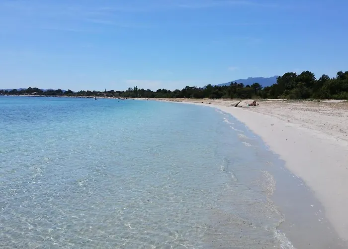 Appartamento Les De Fiori - Résidence Hôtelière - Cala Rossa - Proche Porto Vecchio