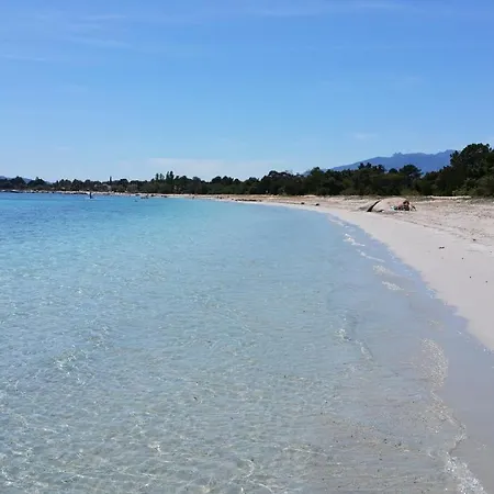 Appartamento Les De Fiori - Hoteliere - Cala Rossa - Proche Porto Vecchio