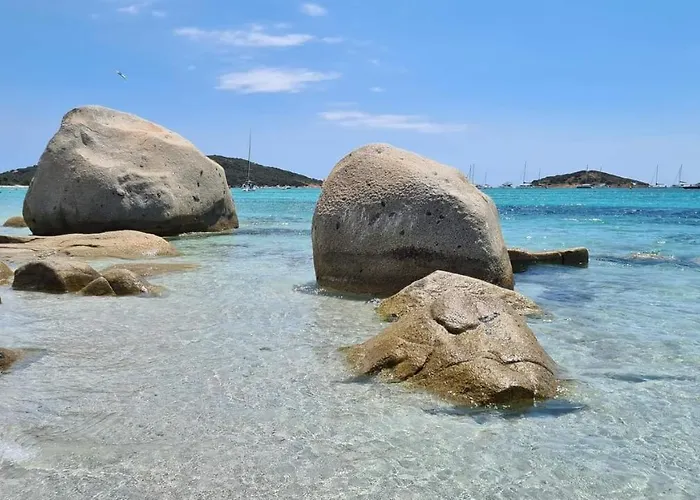 Les De Fiori - Et T2 - Cala Rossa - Proche Porto Vecchio 公寓 里奇