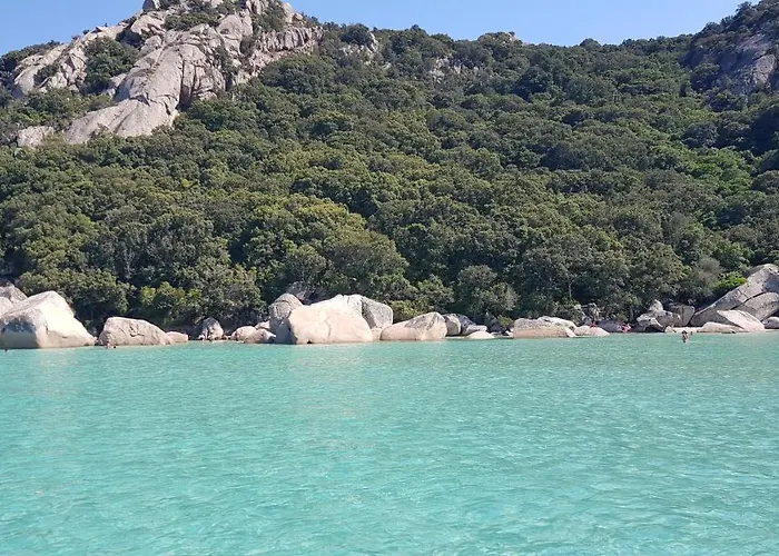 Les De Fiori - Et T2 - Cala Rossa - Proche Porto Vecchio 公寓 *