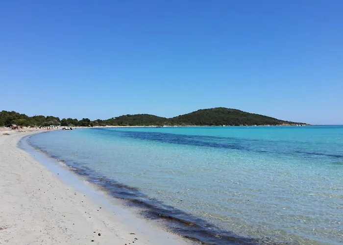 Lejlighed Les De Fiori - Et T2 - Cala Rossa - Proche Porto Vecchio *